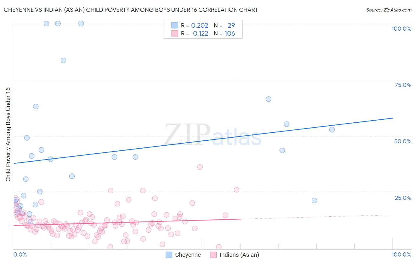 Cheyenne vs Indian (Asian) Child Poverty Among Boys Under 16