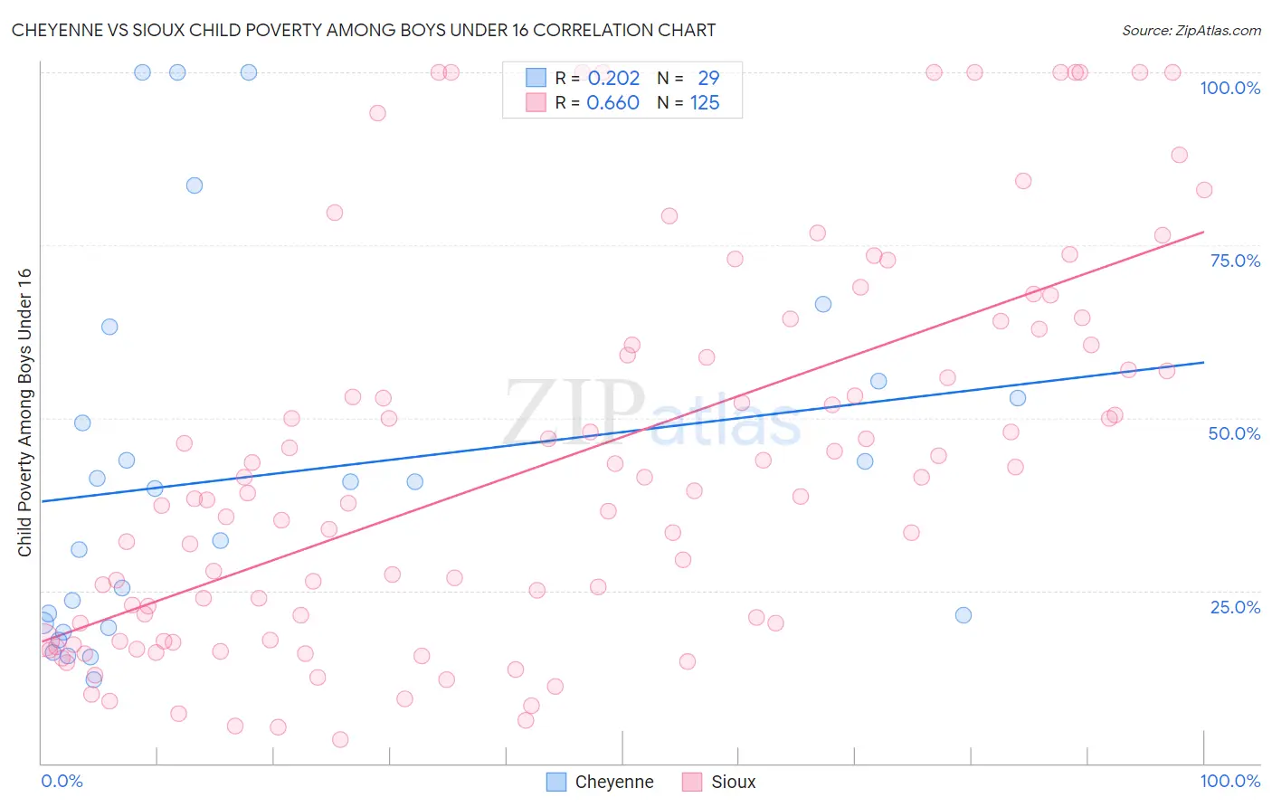 Cheyenne vs Sioux Child Poverty Among Boys Under 16