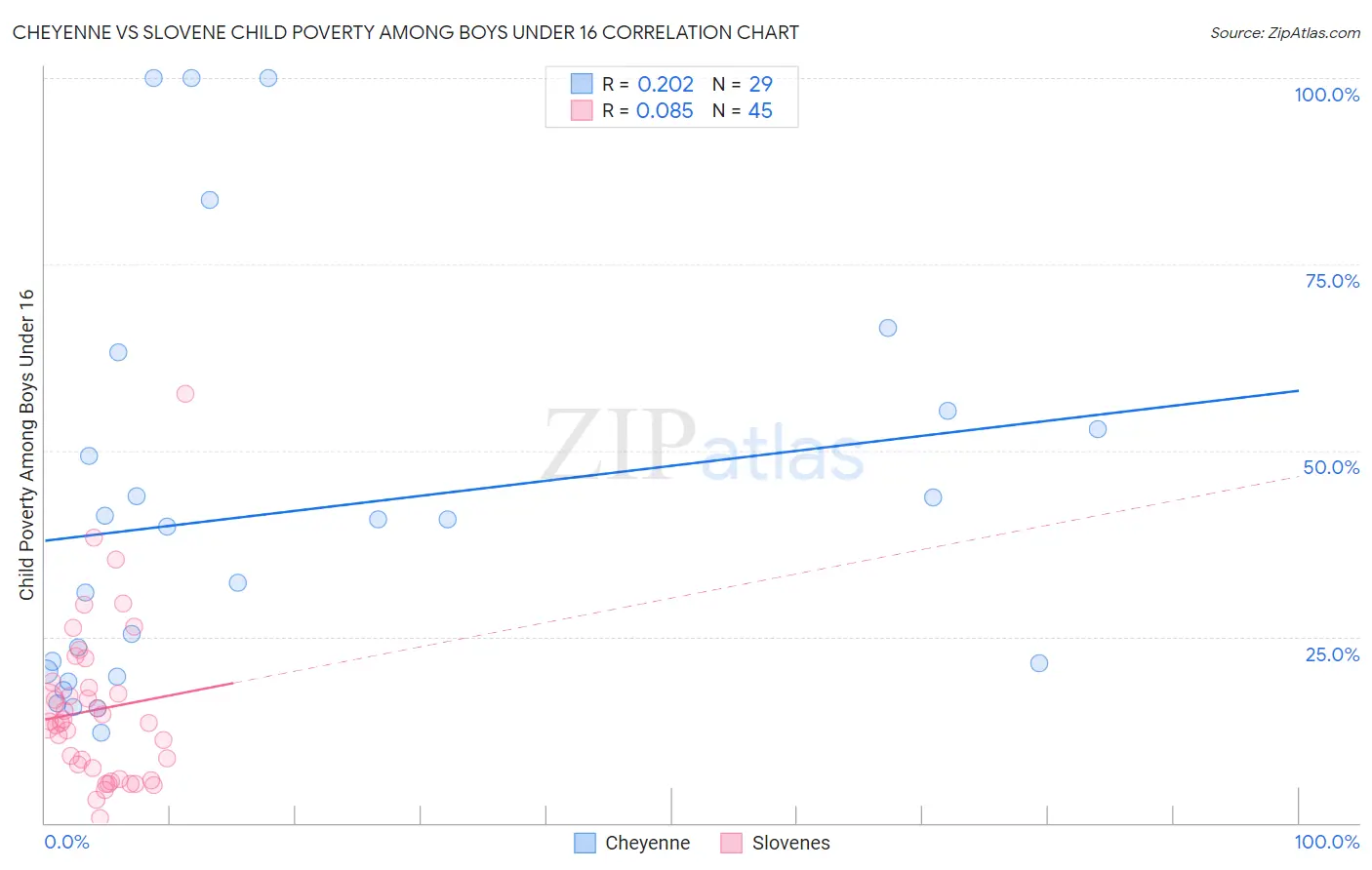 Cheyenne vs Slovene Child Poverty Among Boys Under 16