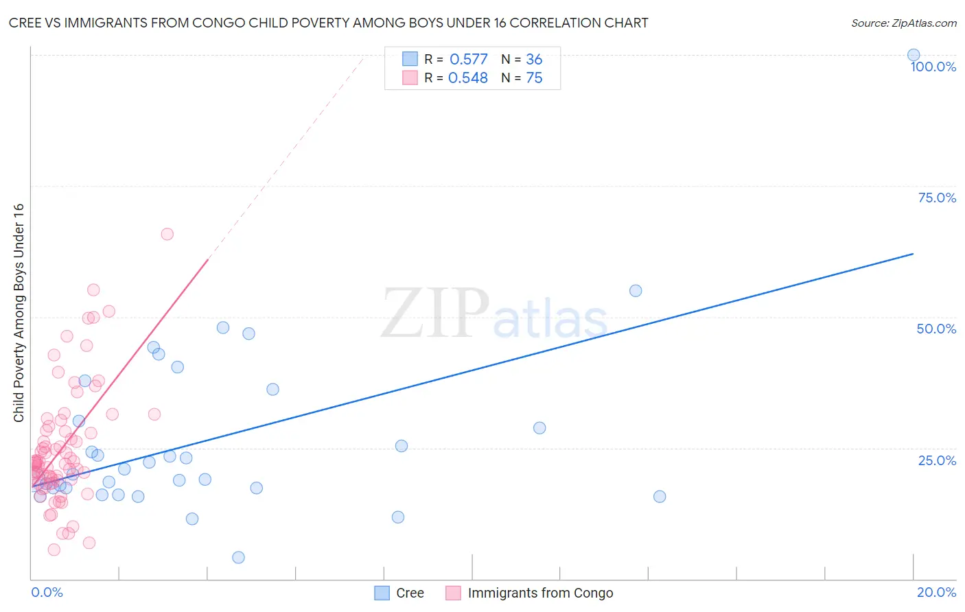 Cree vs Immigrants from Congo Child Poverty Among Boys Under 16