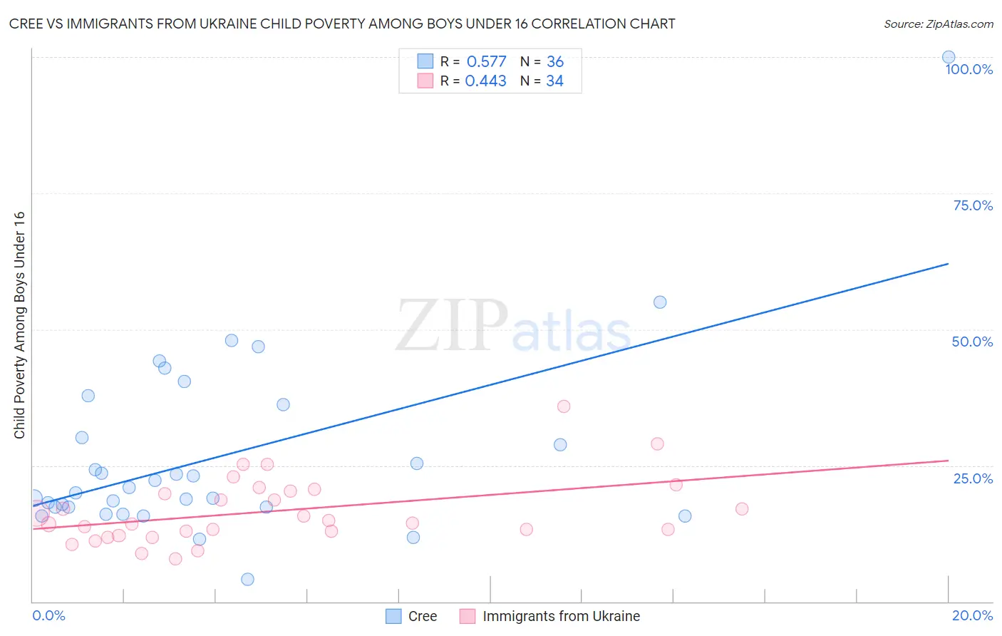 Cree vs Immigrants from Ukraine Child Poverty Among Boys Under 16