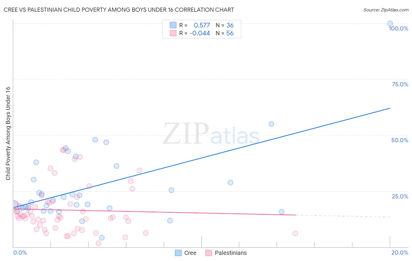 Cree vs Palestinian Child Poverty Among Boys Under 16