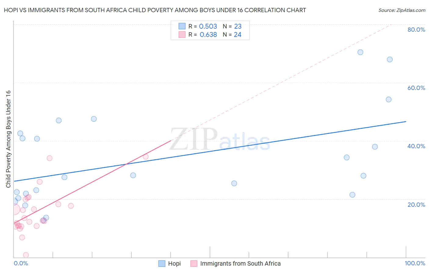 Hopi vs Immigrants from South Africa Child Poverty Among Boys Under 16