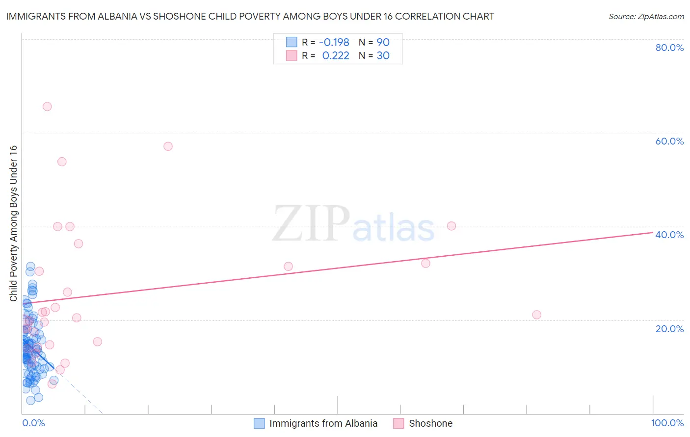 Immigrants from Albania vs Shoshone Child Poverty Among Boys Under 16