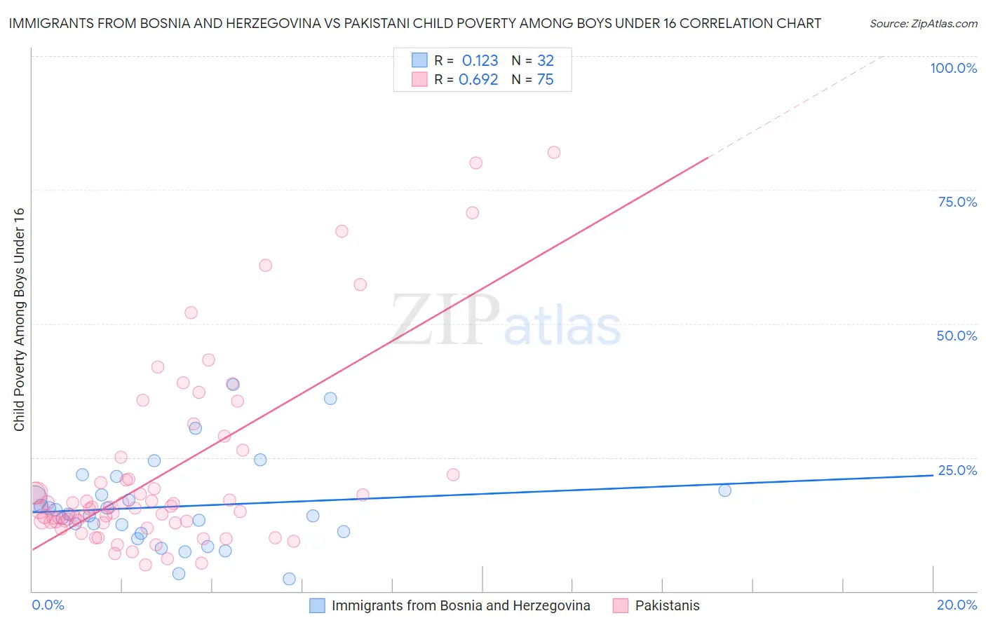 Immigrants from Bosnia and Herzegovina vs Pakistani Child Poverty Among Boys Under 16