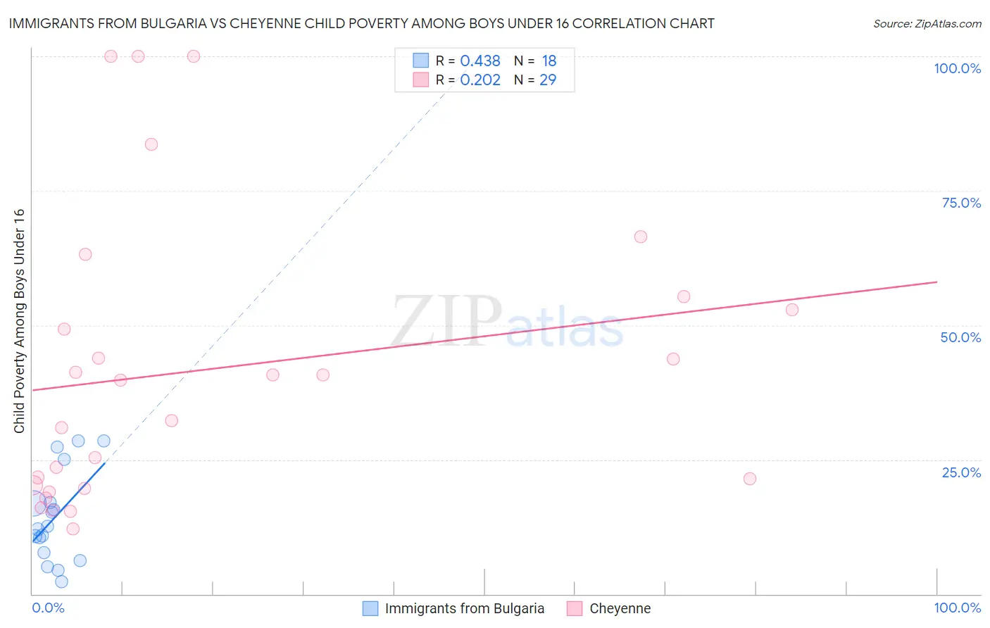 Immigrants from Bulgaria vs Cheyenne Child Poverty Among Boys Under 16