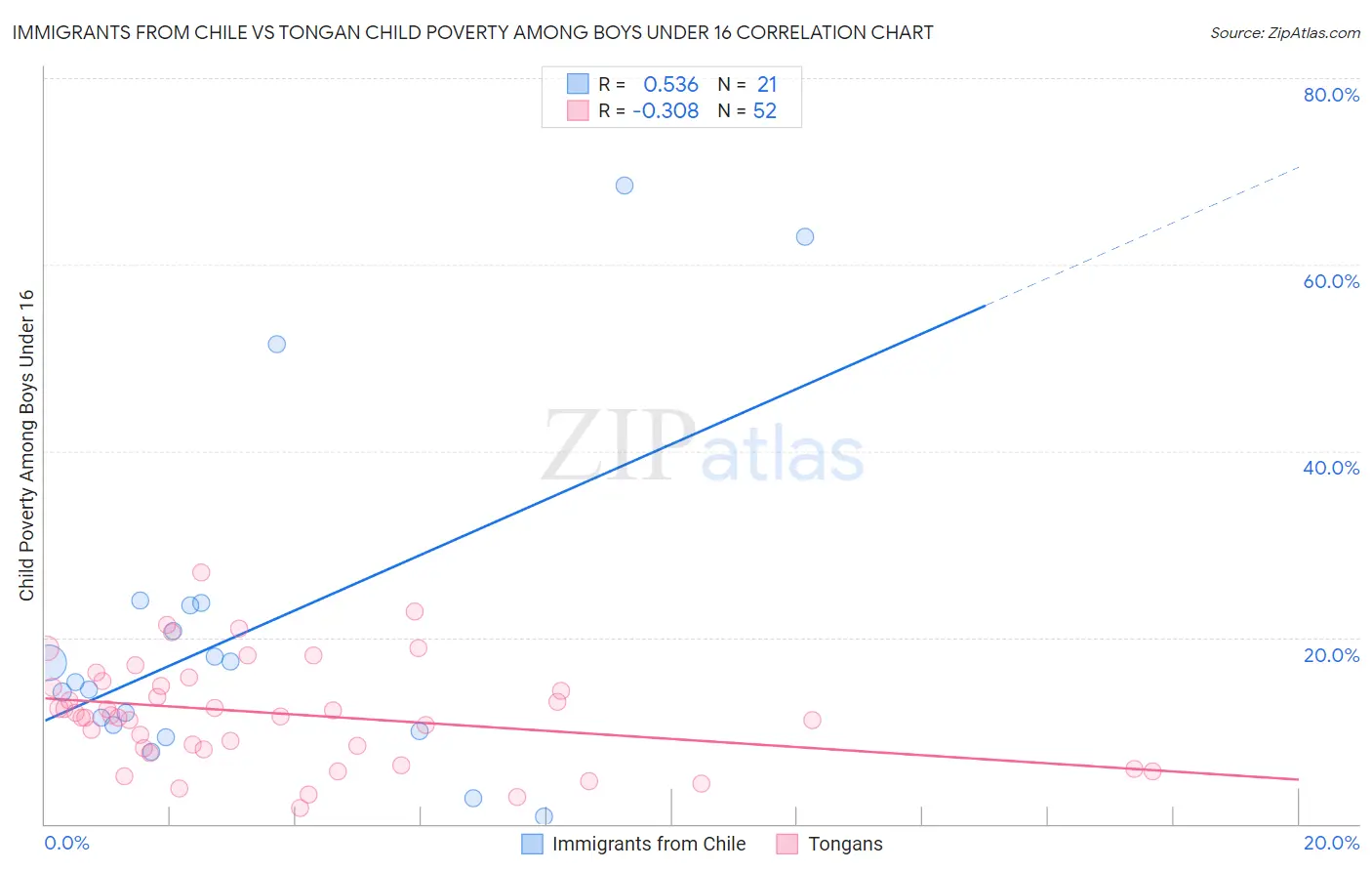 Immigrants from Chile vs Tongan Child Poverty Among Boys Under 16