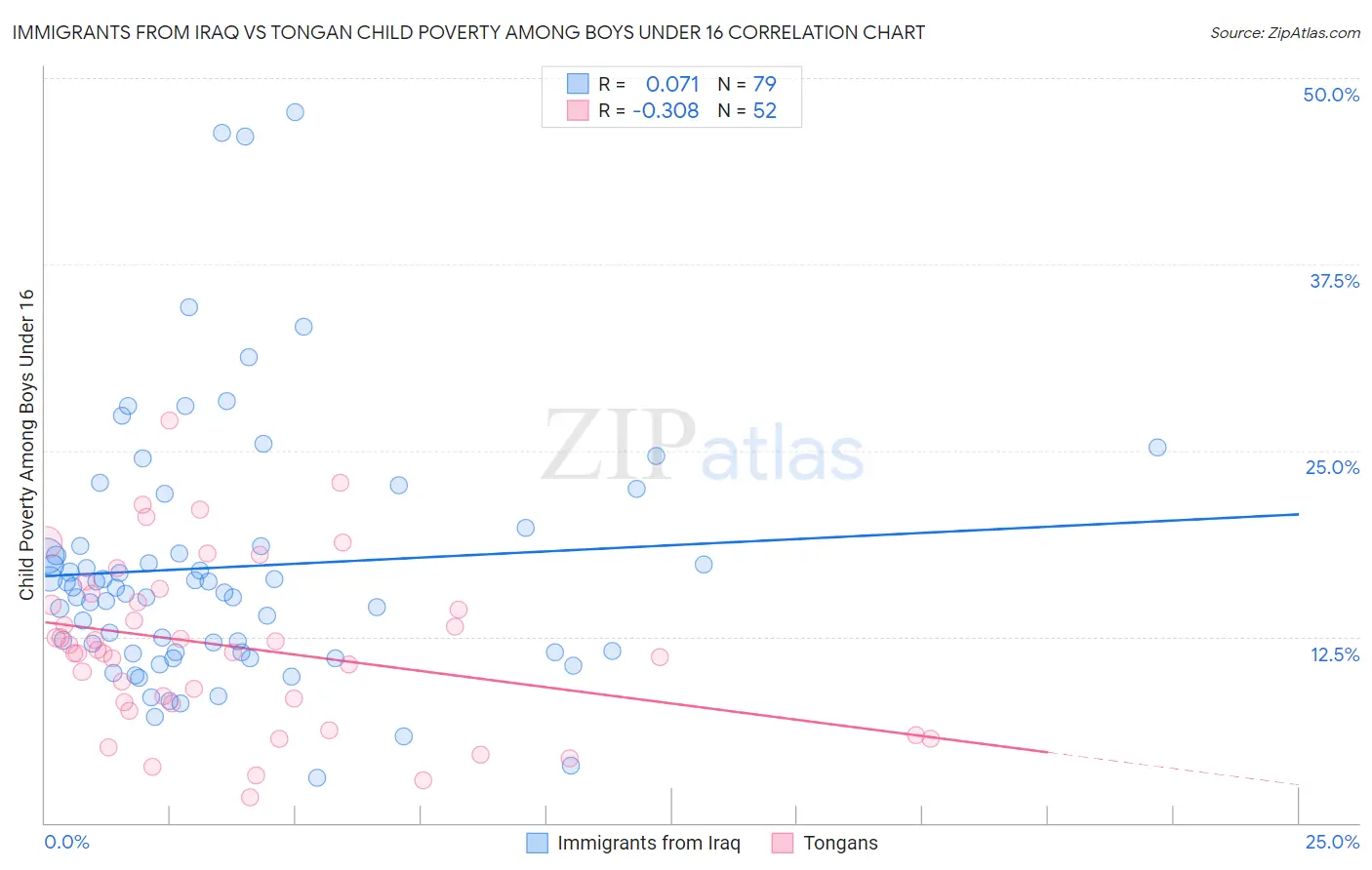 Immigrants from Iraq vs Tongan Child Poverty Among Boys Under 16