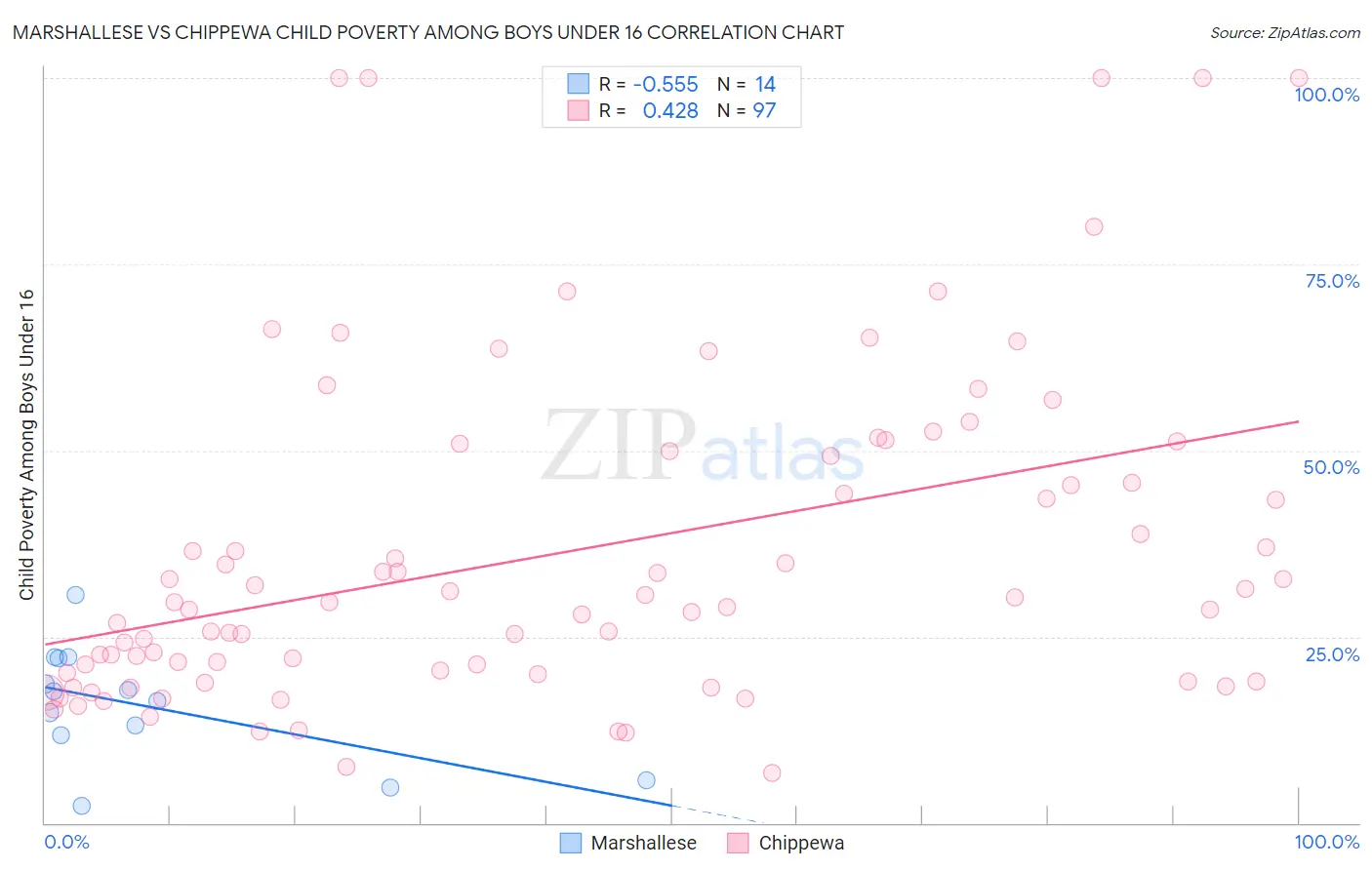 Marshallese vs Chippewa Child Poverty Among Boys Under 16