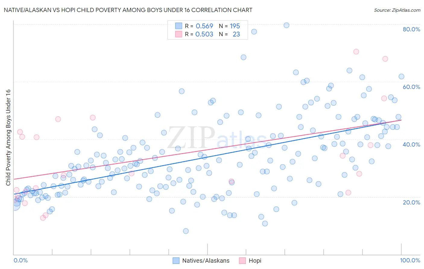 Native/Alaskan vs Hopi Child Poverty Among Boys Under 16