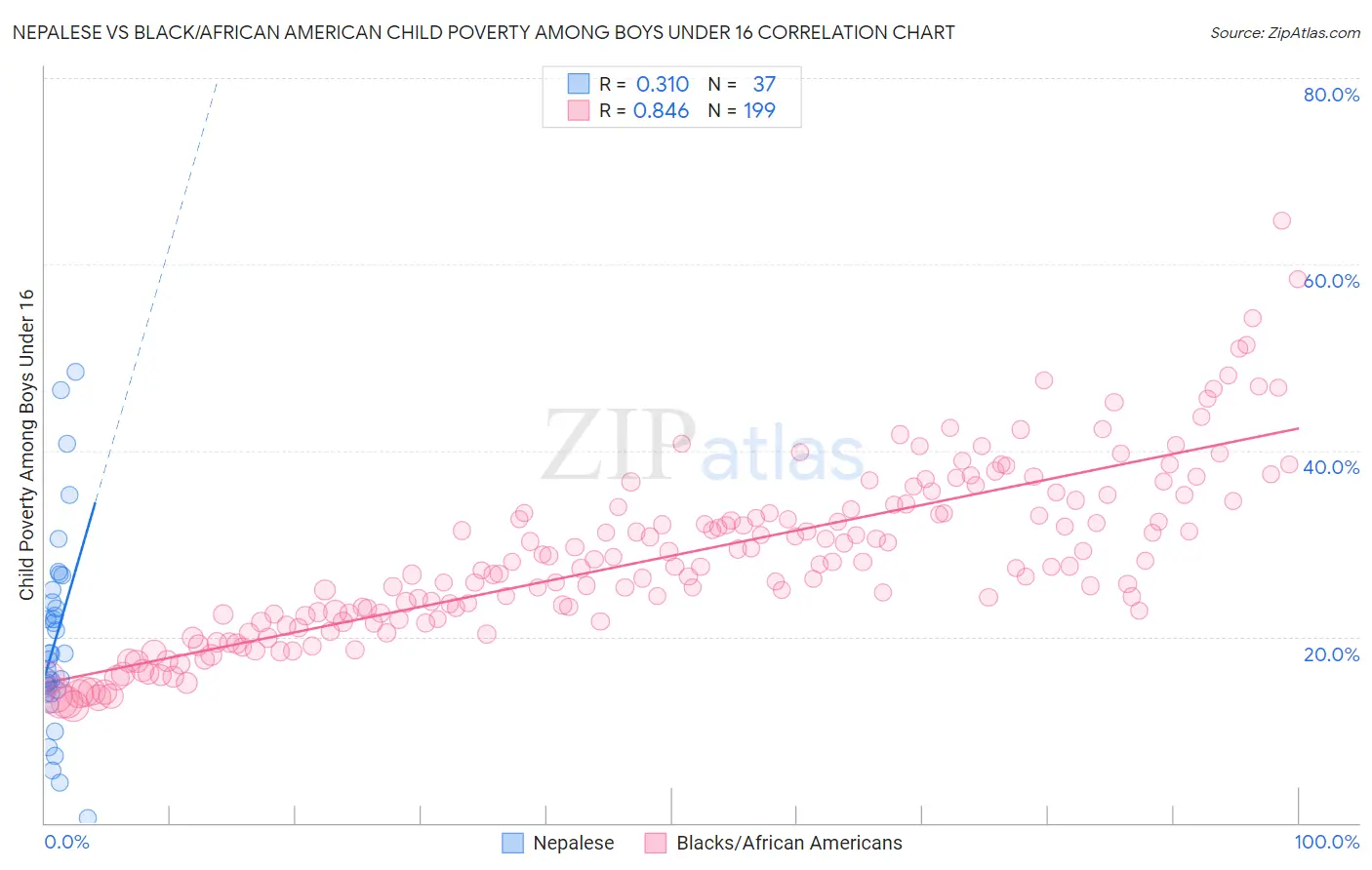 Nepalese vs Black/African American Child Poverty Among Boys Under 16