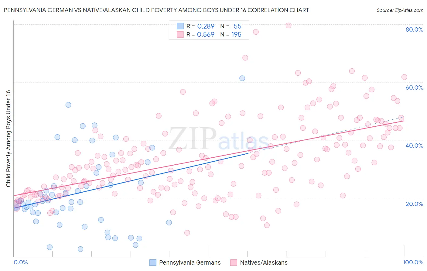 Pennsylvania German vs Native/Alaskan Child Poverty Among Boys Under 16