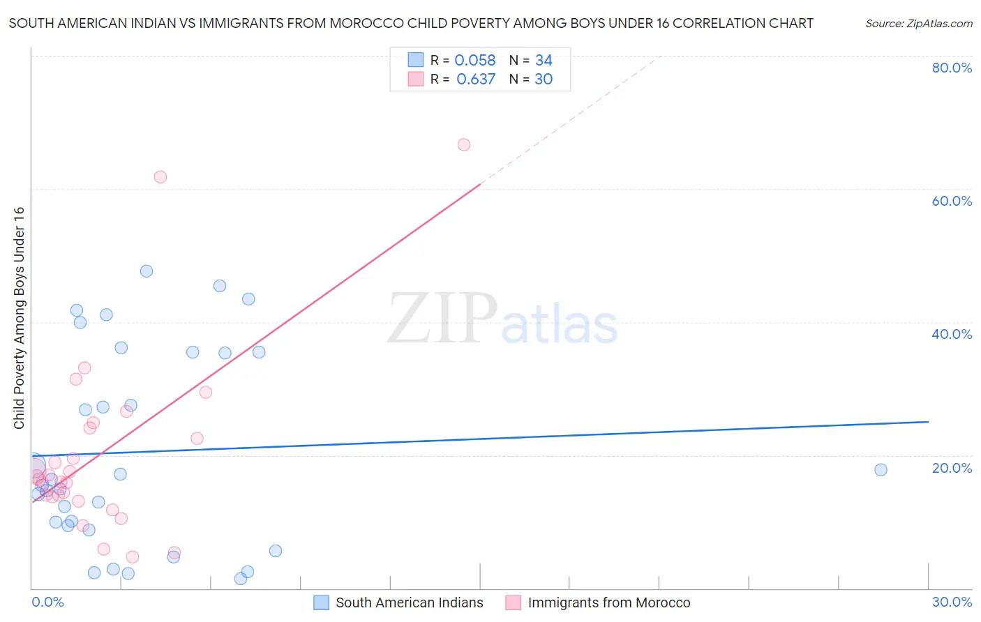 South American Indian vs Immigrants from Morocco Child Poverty Among Boys Under 16