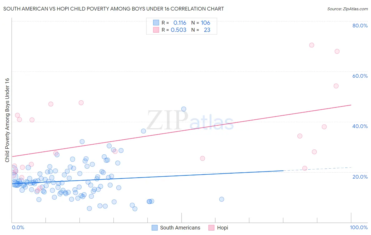 South American vs Hopi Child Poverty Among Boys Under 16