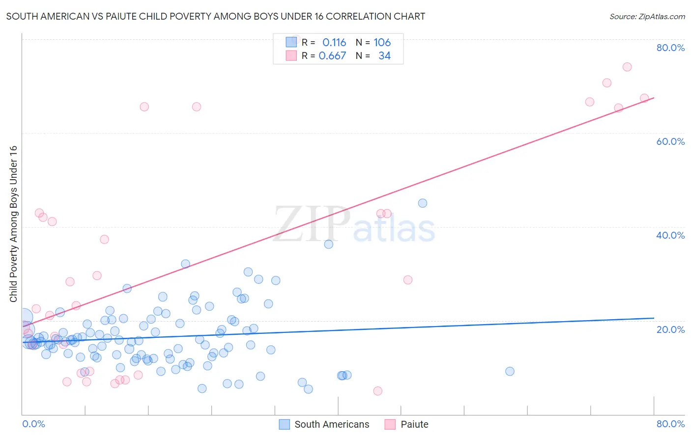South American vs Paiute Child Poverty Among Boys Under 16