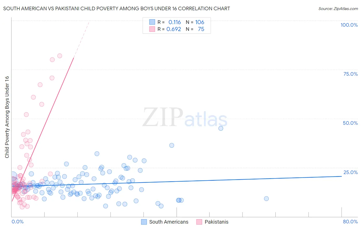 South American vs Pakistani Child Poverty Among Boys Under 16