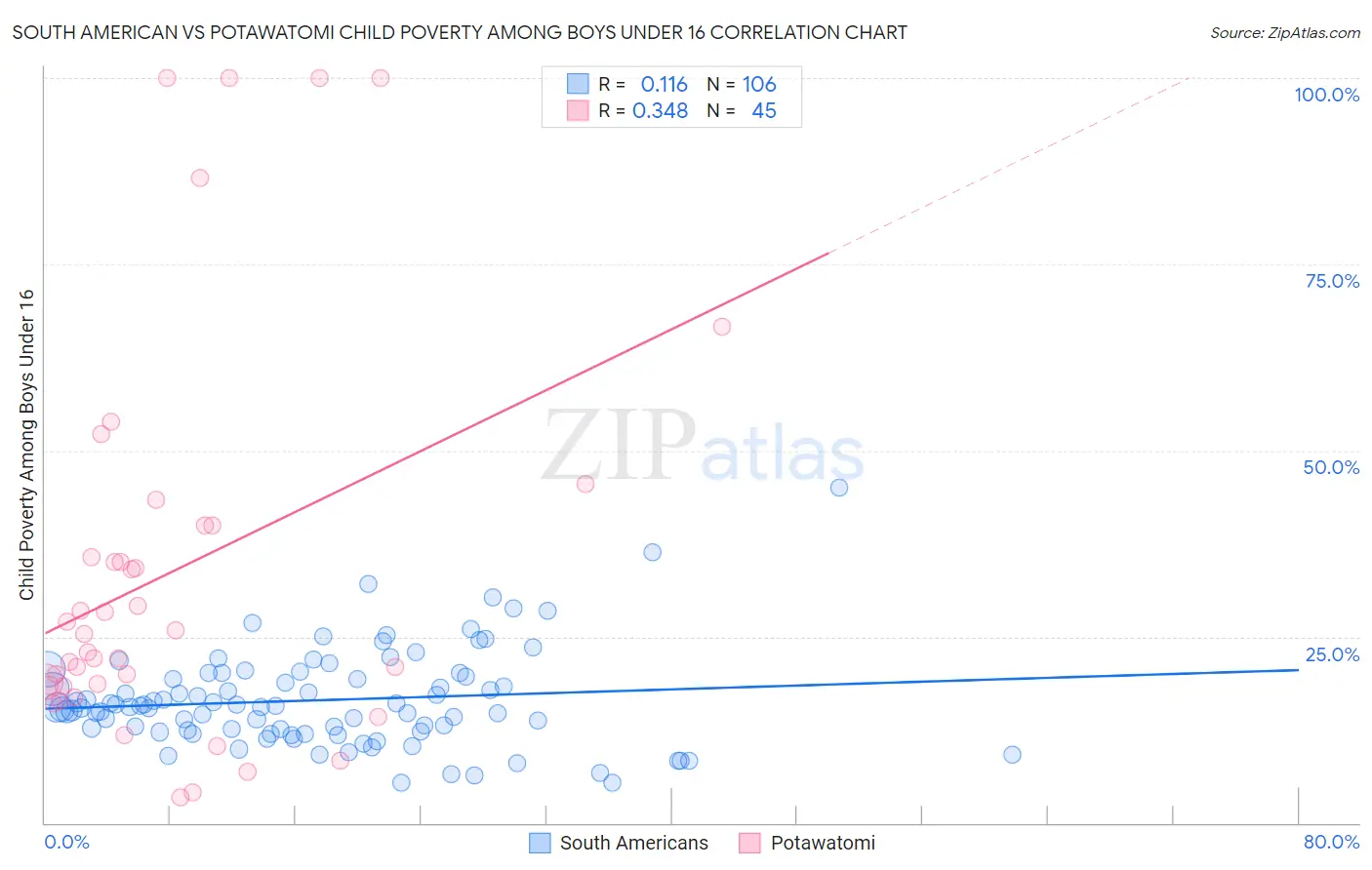 South American vs Potawatomi Child Poverty Among Boys Under 16