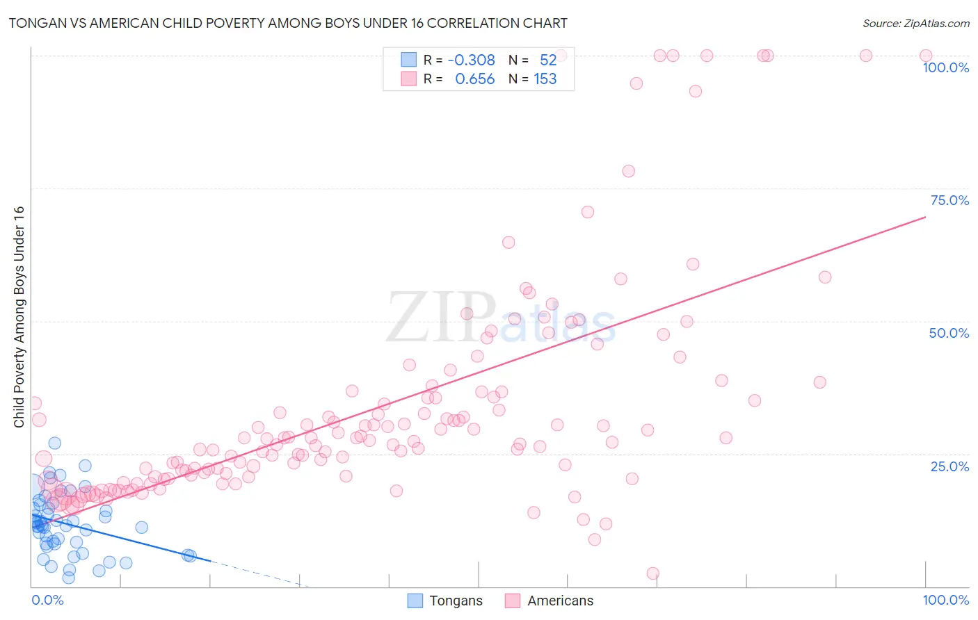 Tongan vs American Child Poverty Among Boys Under 16