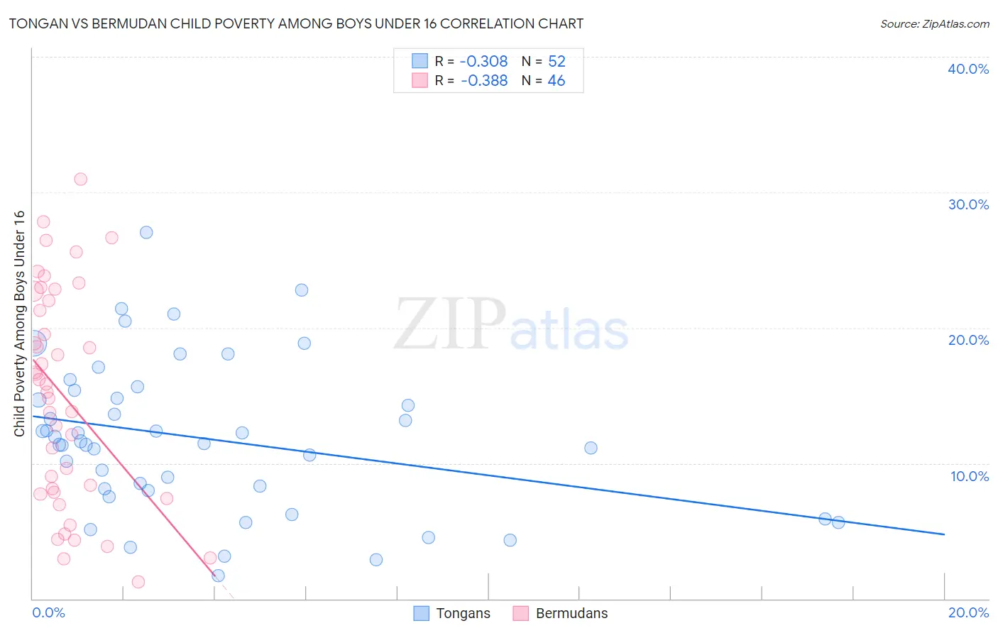 Tongan vs Bermudan Child Poverty Among Boys Under 16