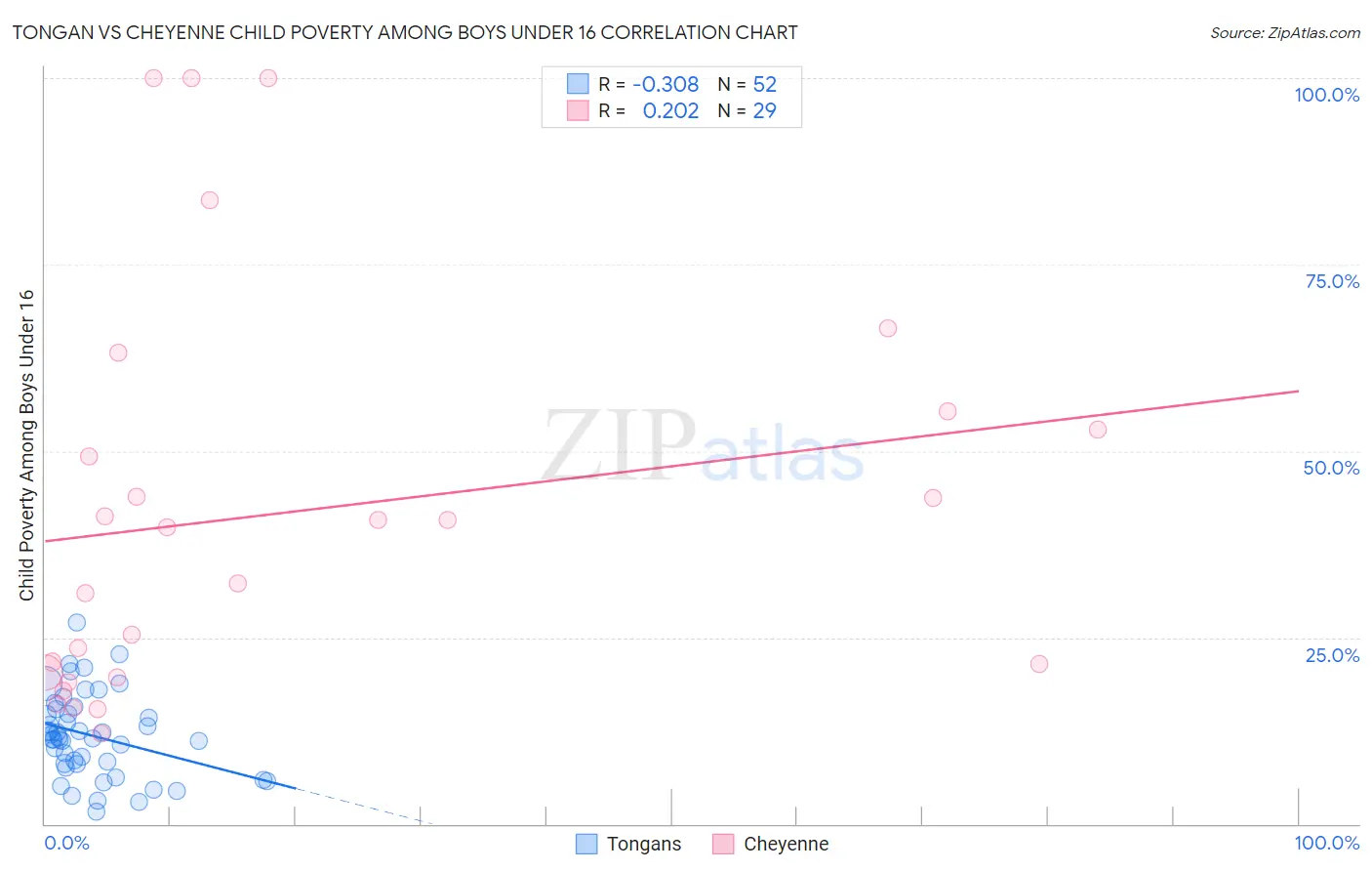 Tongan vs Cheyenne Child Poverty Among Boys Under 16