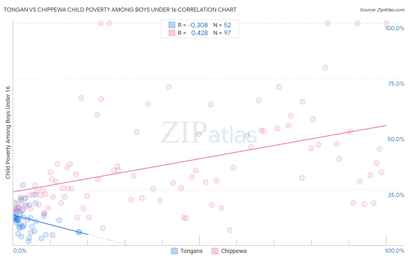 Tongan vs Chippewa Child Poverty Among Boys Under 16