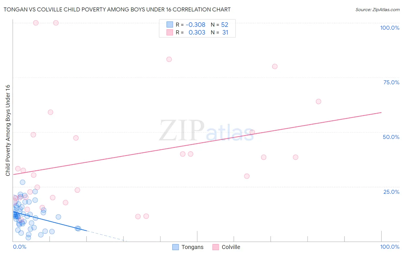 Tongan vs Colville Child Poverty Among Boys Under 16