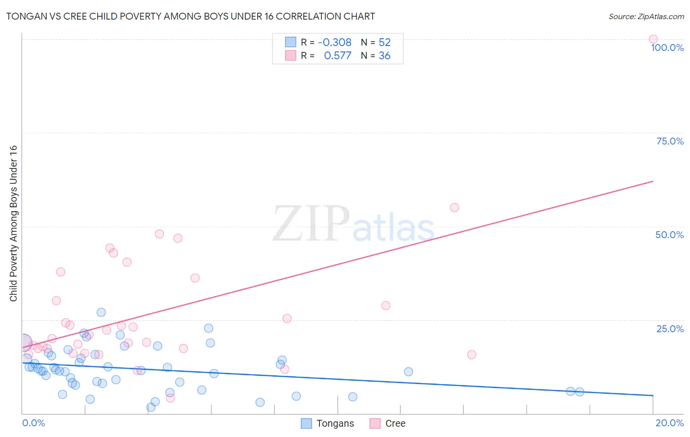 Tongan vs Cree Child Poverty Among Boys Under 16