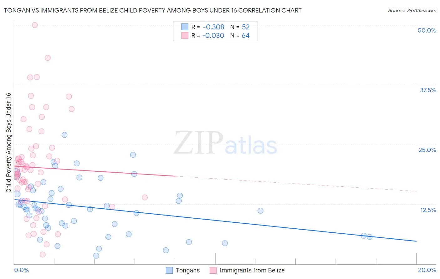 Tongan vs Immigrants from Belize Child Poverty Among Boys Under 16