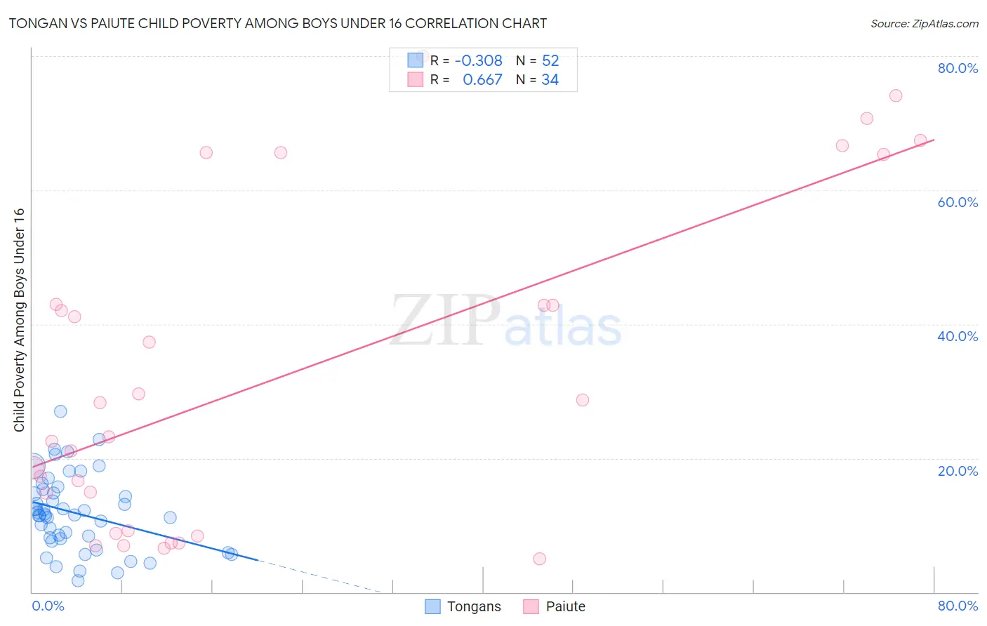 Tongan vs Paiute Child Poverty Among Boys Under 16