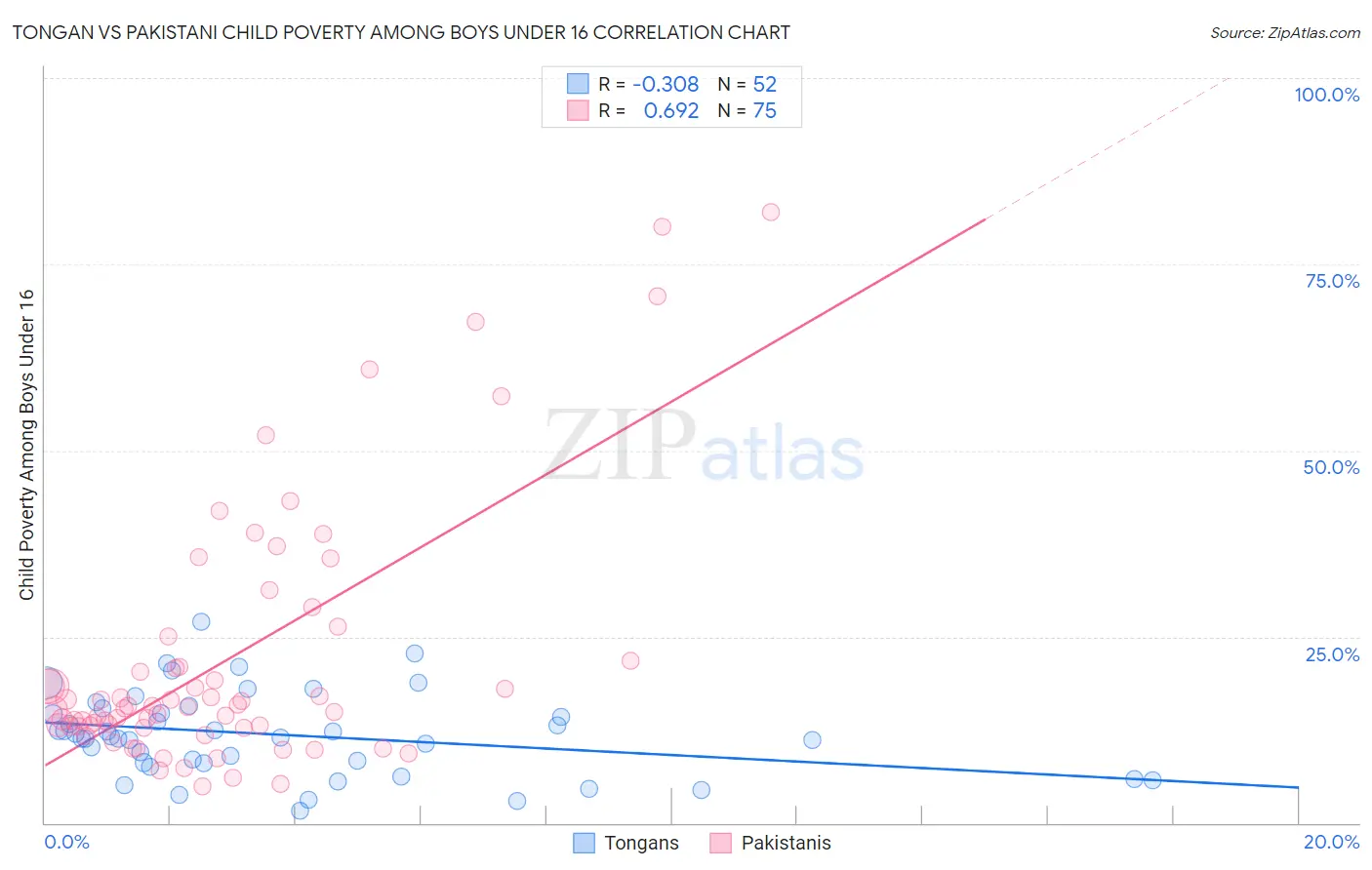 Tongan vs Pakistani Child Poverty Among Boys Under 16