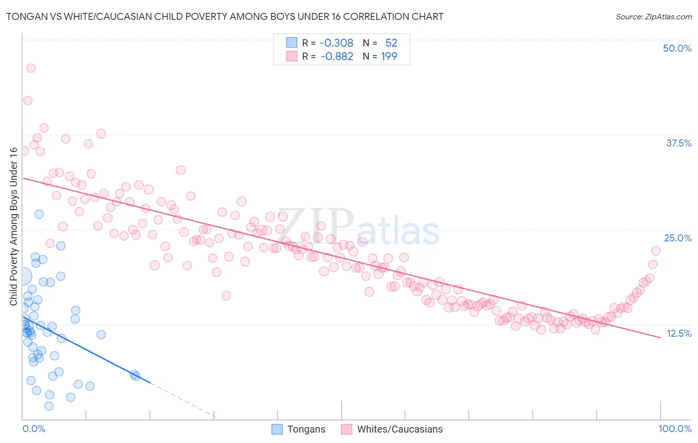 Tongan vs White/Caucasian Child Poverty Among Boys Under 16