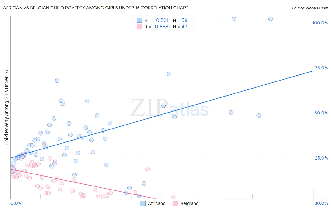 African vs Belgian Child Poverty Among Girls Under 16