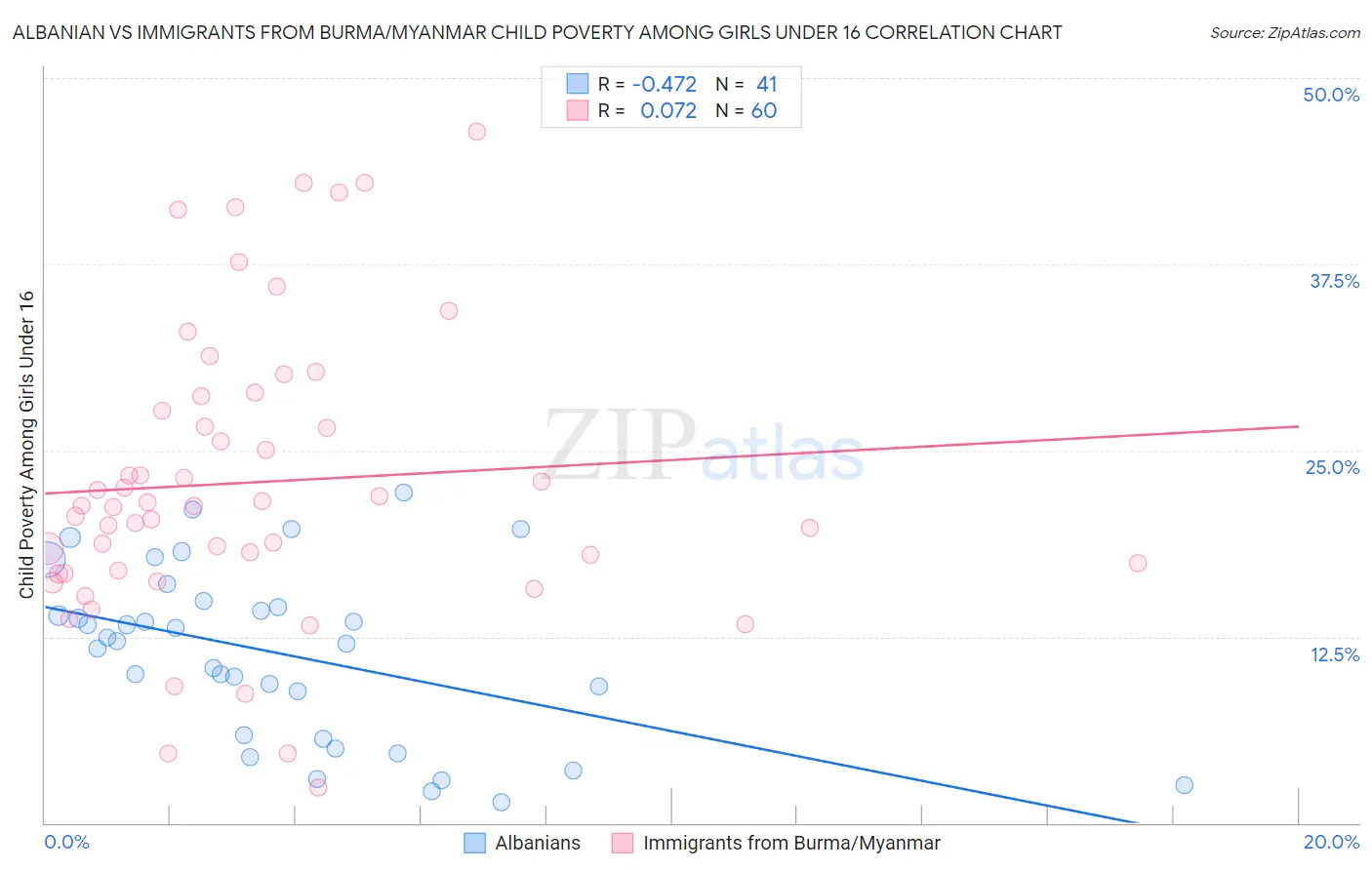 Albanian vs Immigrants from Burma/Myanmar Child Poverty Among Girls Under 16