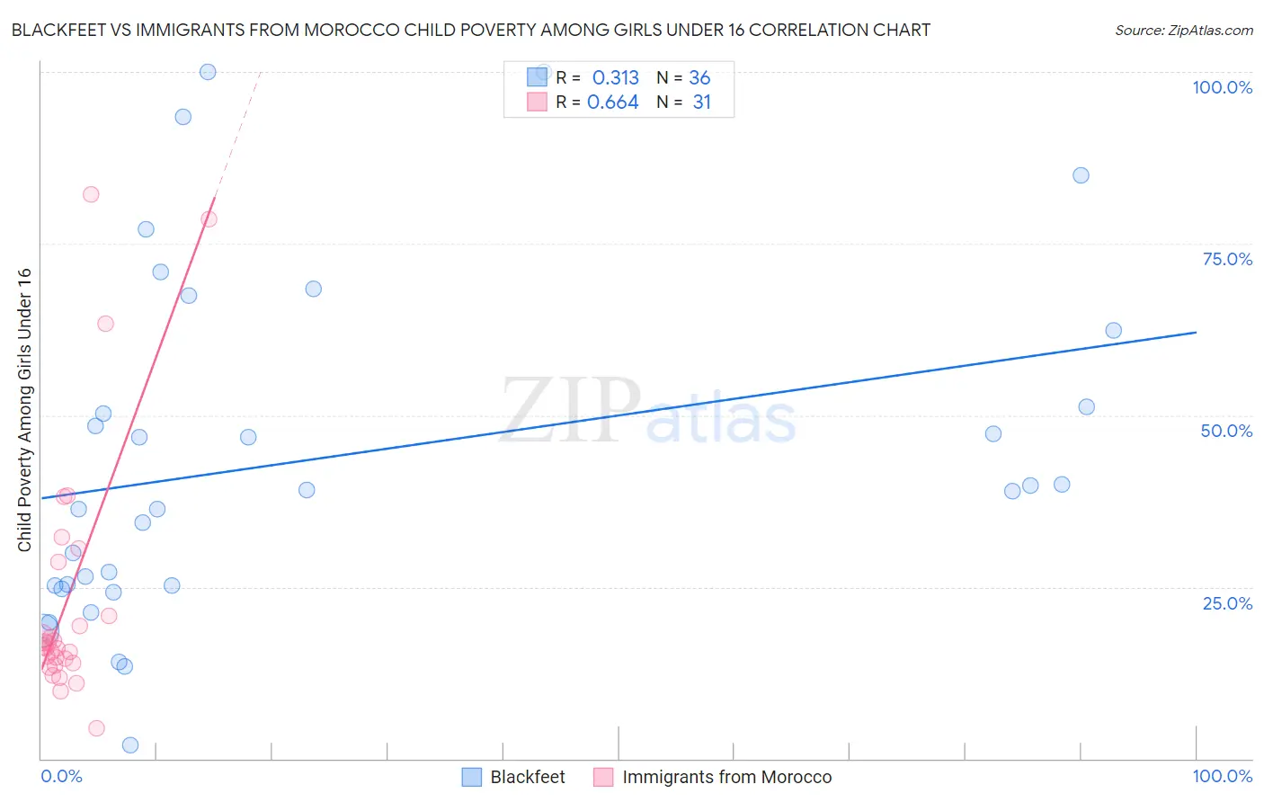 Blackfeet vs Immigrants from Morocco Child Poverty Among Girls Under 16