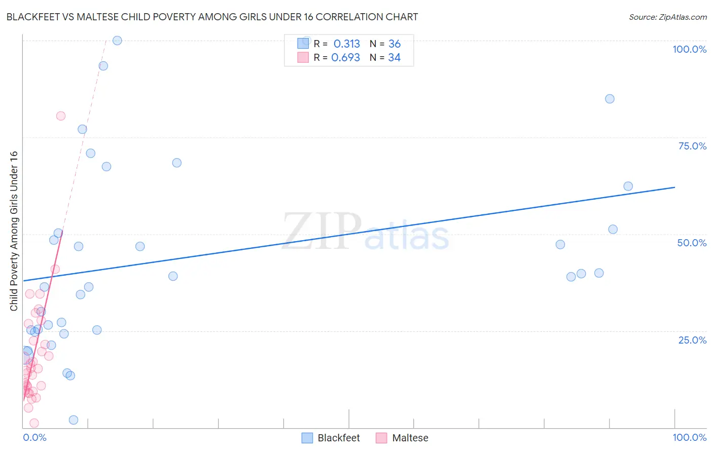 Blackfeet vs Maltese Child Poverty Among Girls Under 16