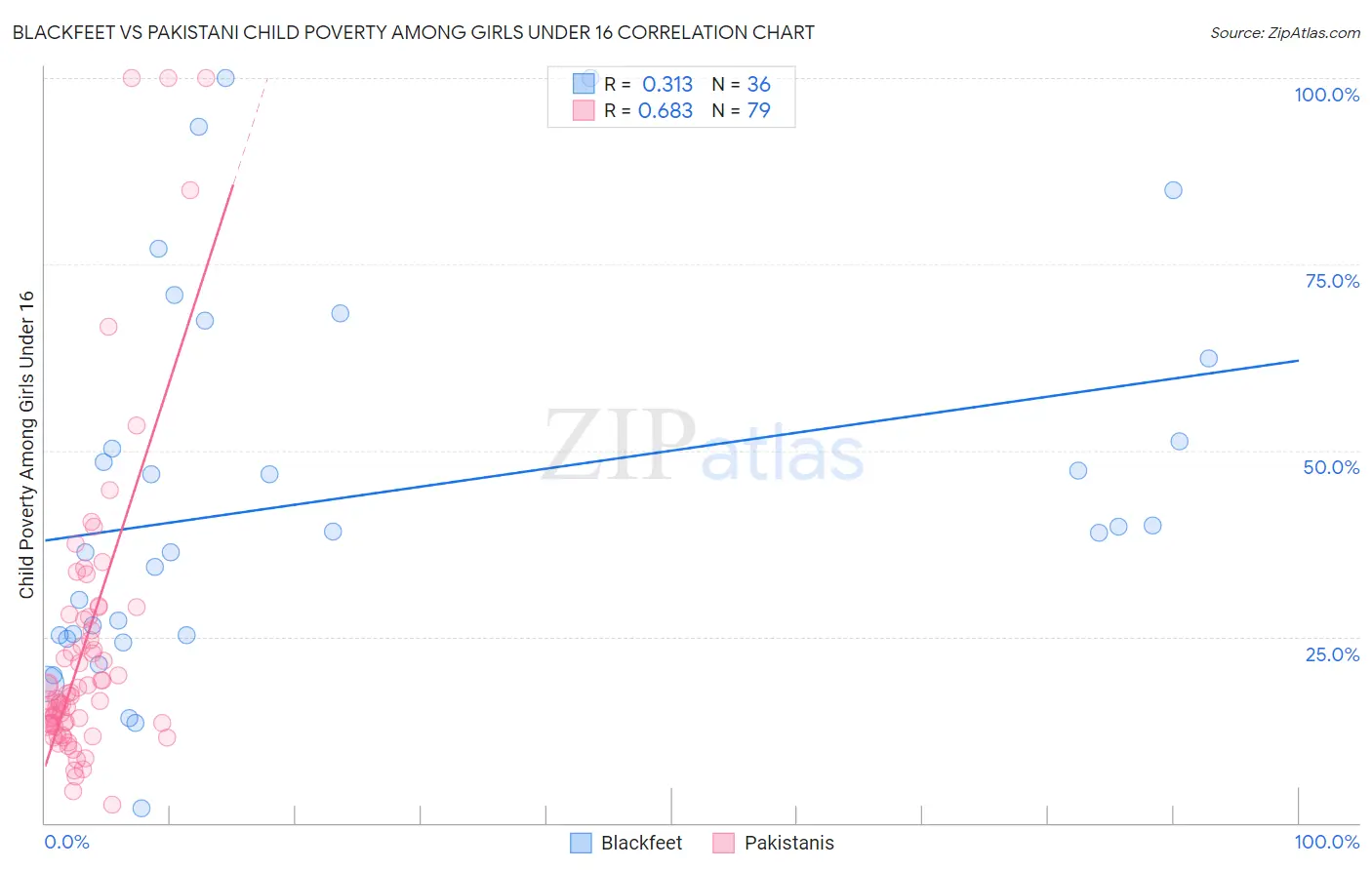 Blackfeet vs Pakistani Child Poverty Among Girls Under 16