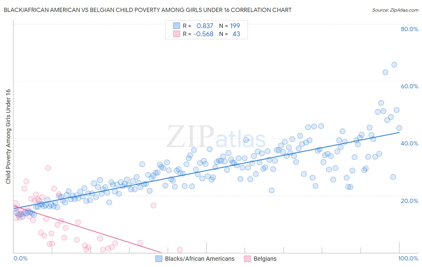 Black/African American vs Belgian Child Poverty Among Girls Under 16