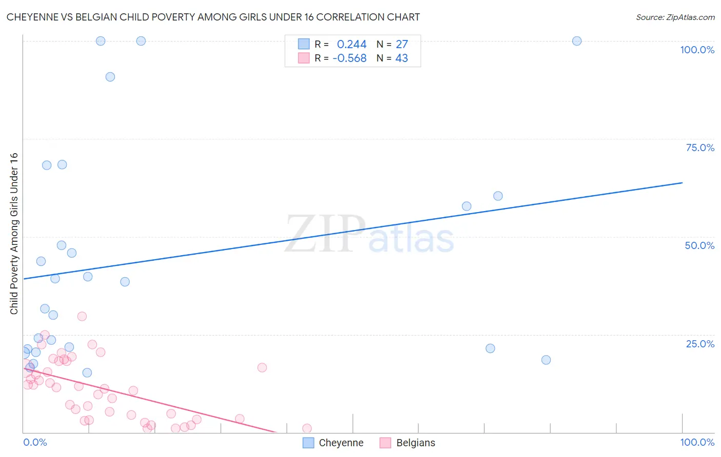 Cheyenne vs Belgian Child Poverty Among Girls Under 16