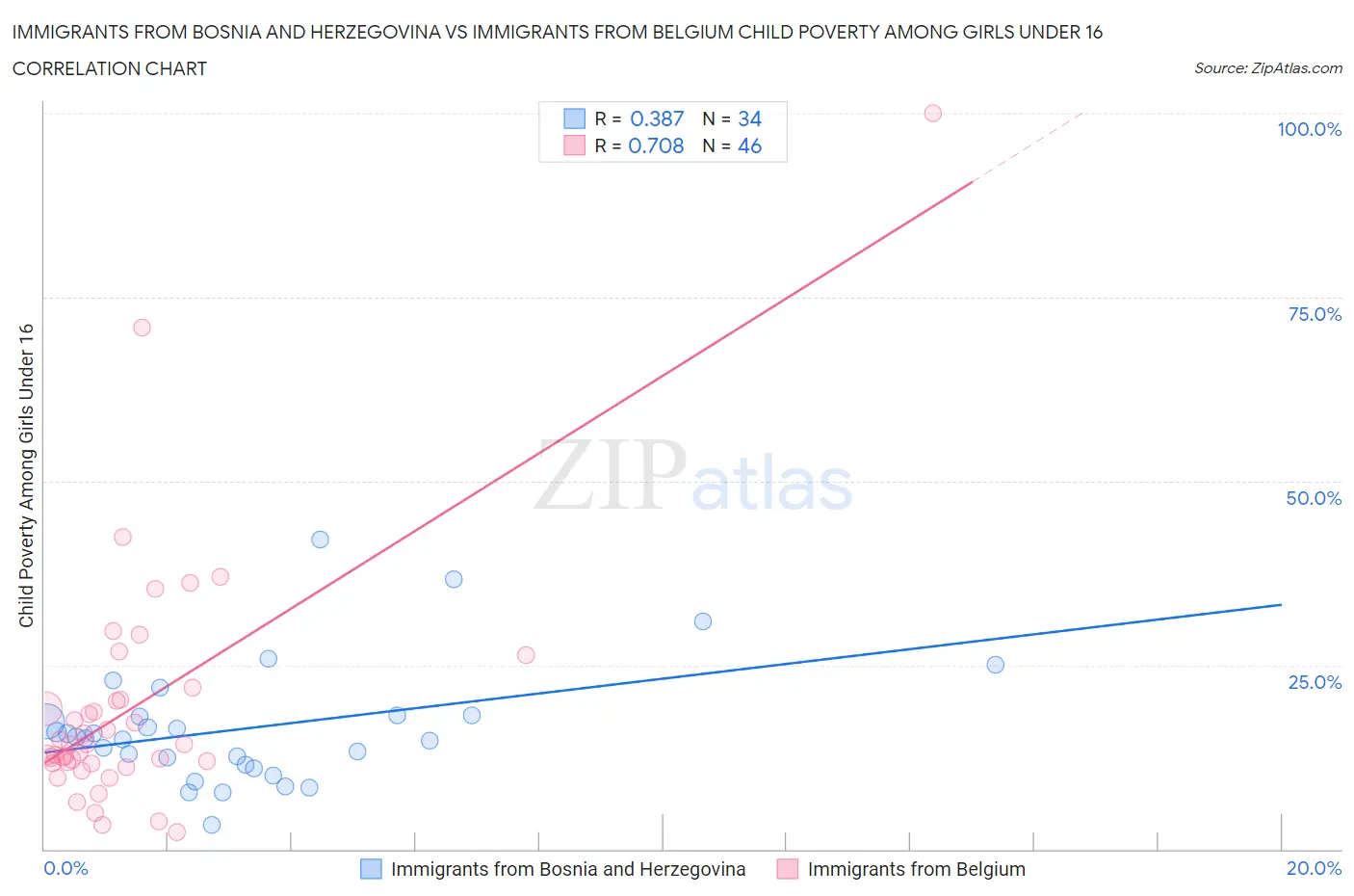 Immigrants from Bosnia and Herzegovina vs Immigrants from Belgium Child Poverty Among Girls Under 16