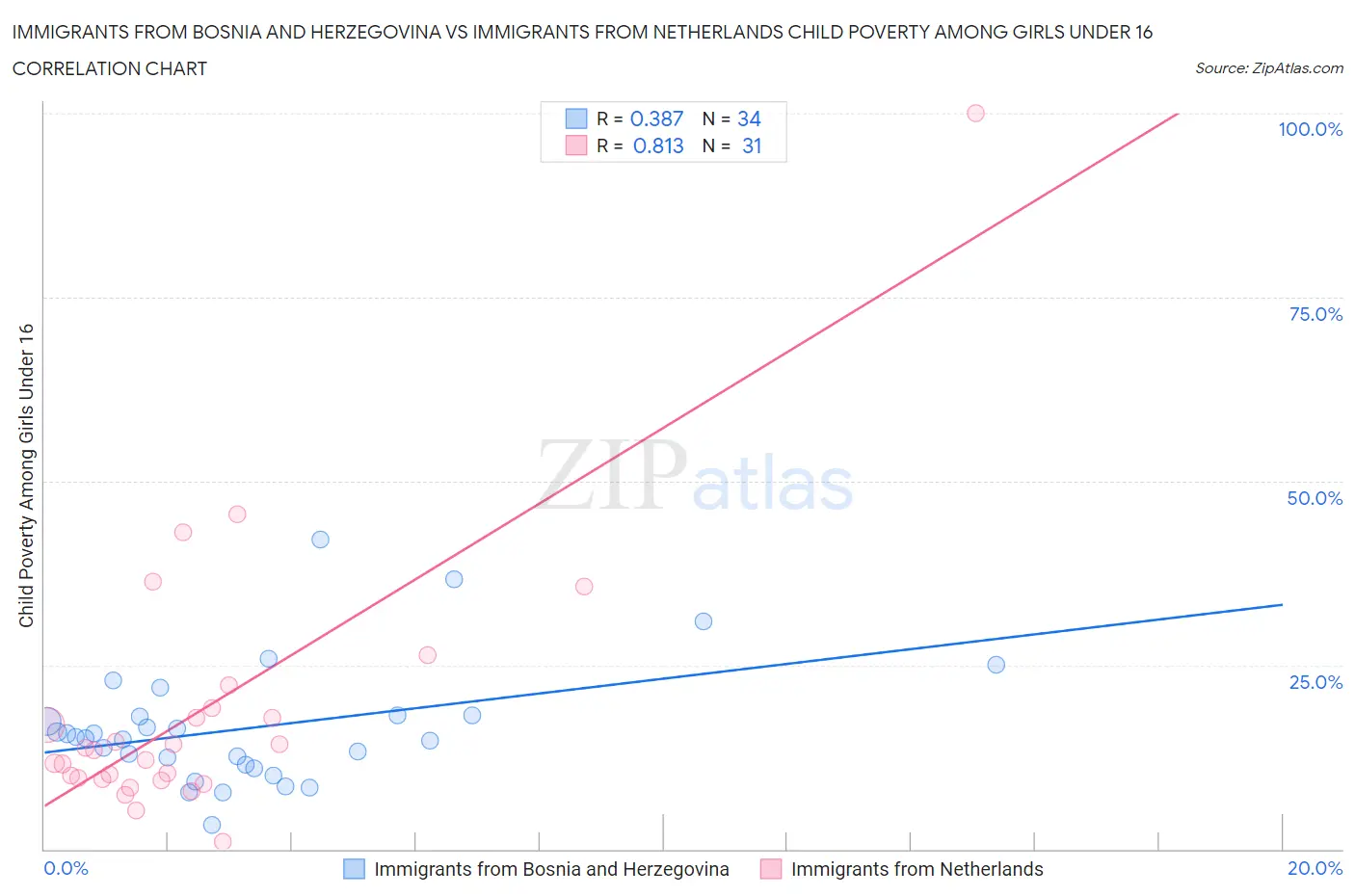 Immigrants from Bosnia and Herzegovina vs Immigrants from Netherlands Child Poverty Among Girls Under 16