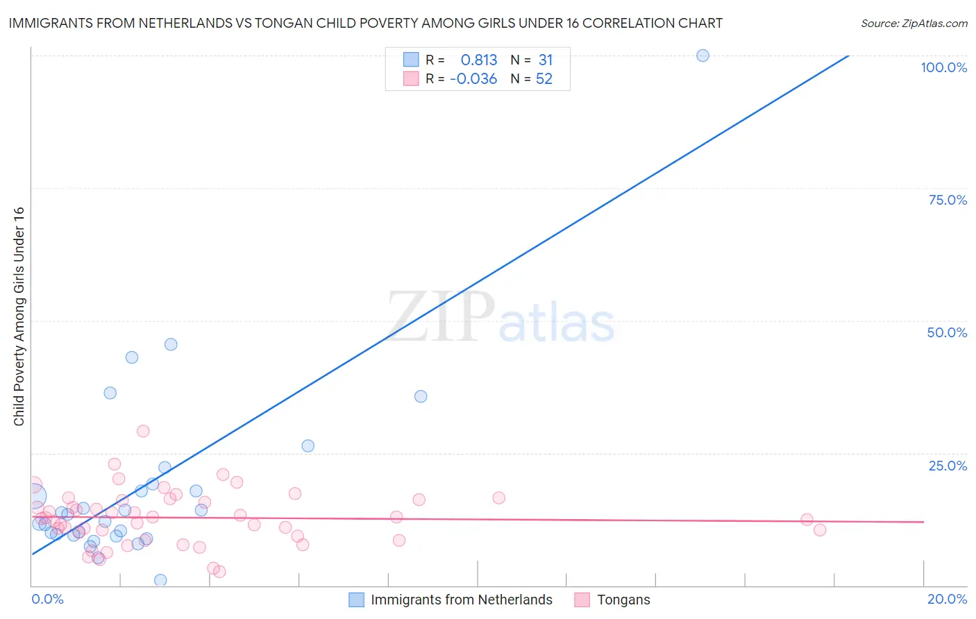 Immigrants from Netherlands vs Tongan Child Poverty Among Girls Under 16