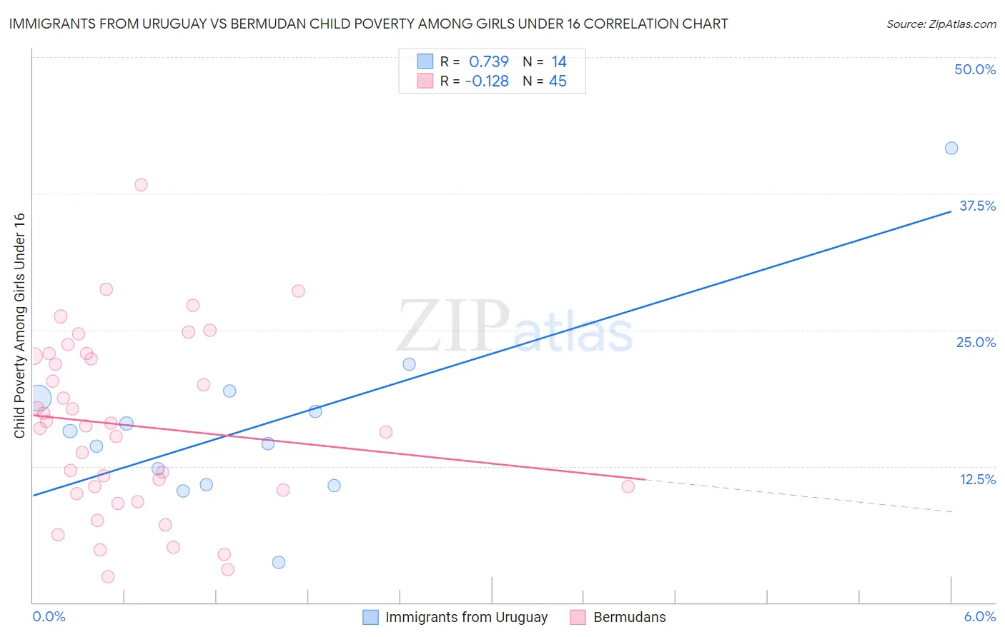 Immigrants from Uruguay vs Bermudan Child Poverty Among Girls Under 16