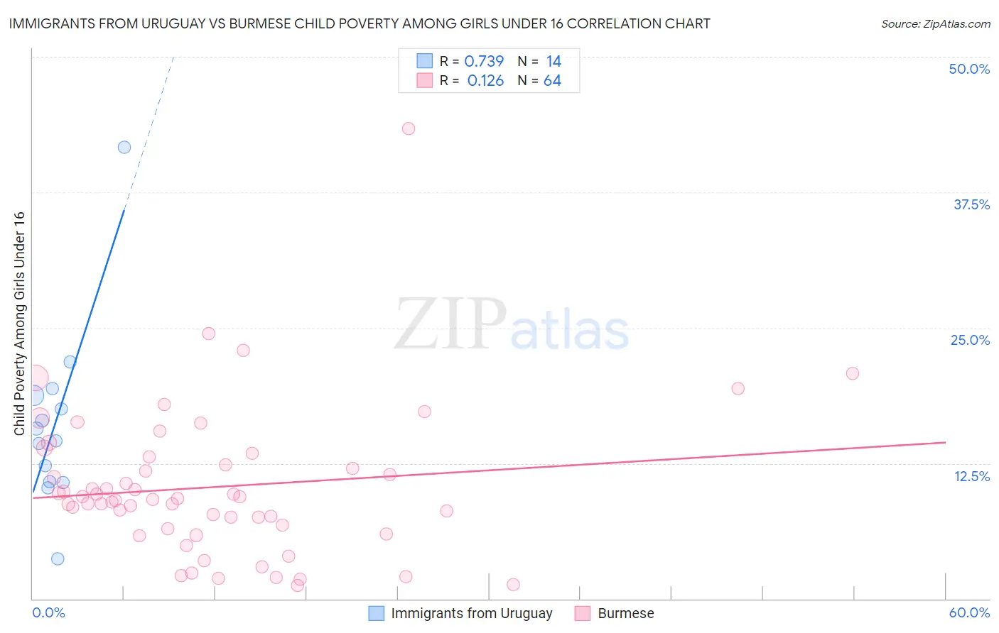 Immigrants from Uruguay vs Burmese Child Poverty Among Girls Under 16