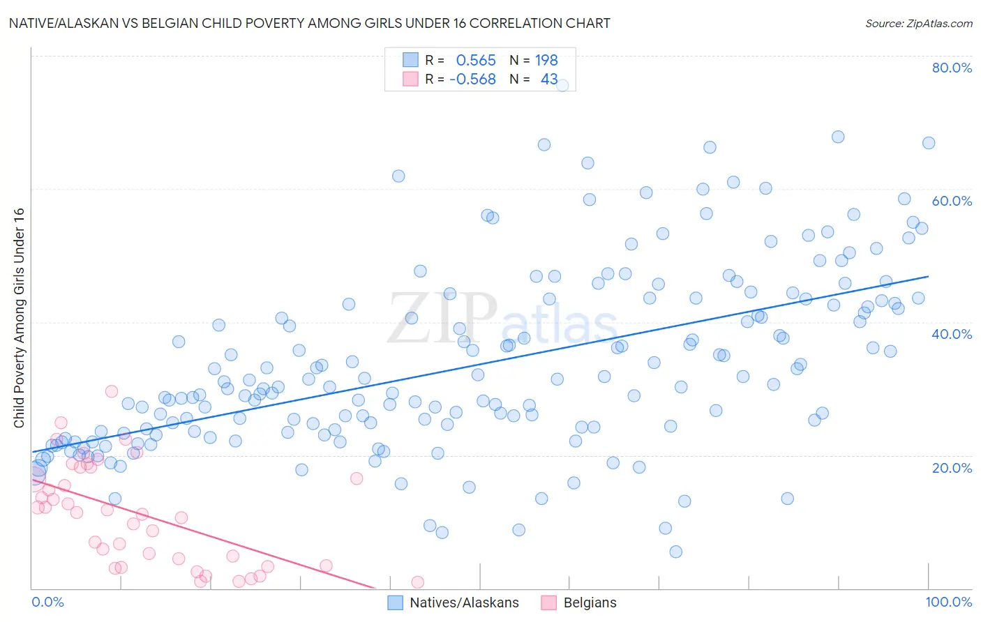 Native/Alaskan vs Belgian Child Poverty Among Girls Under 16