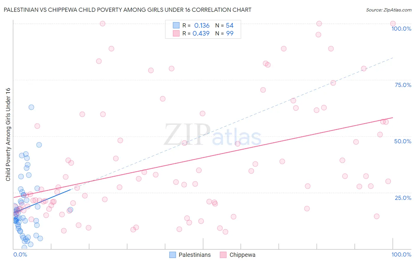Palestinian vs Chippewa Child Poverty Among Girls Under 16