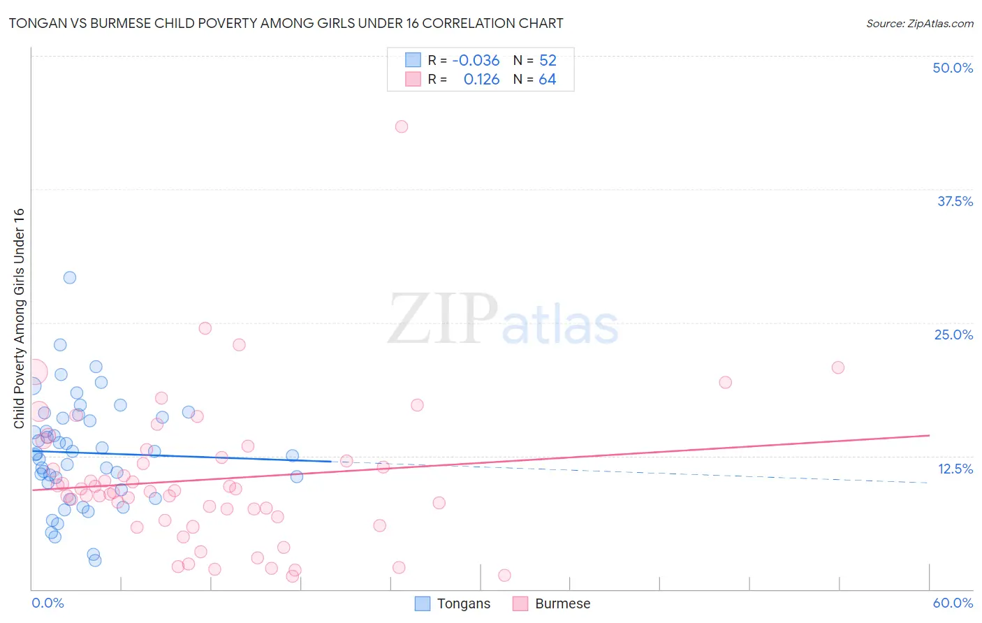 Tongan vs Burmese Child Poverty Among Girls Under 16