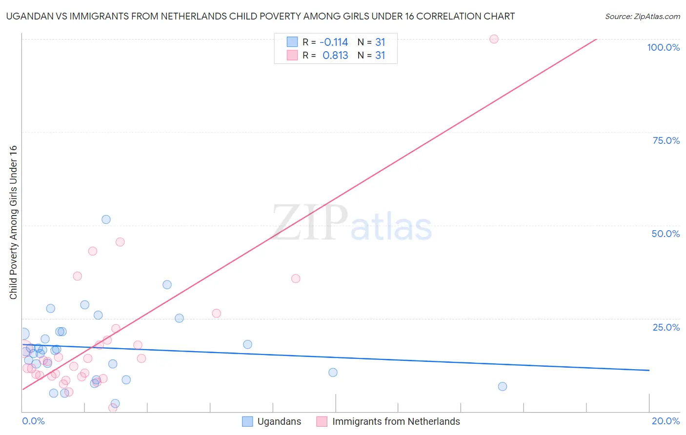 Ugandan vs Immigrants from Netherlands Child Poverty Among Girls Under 16