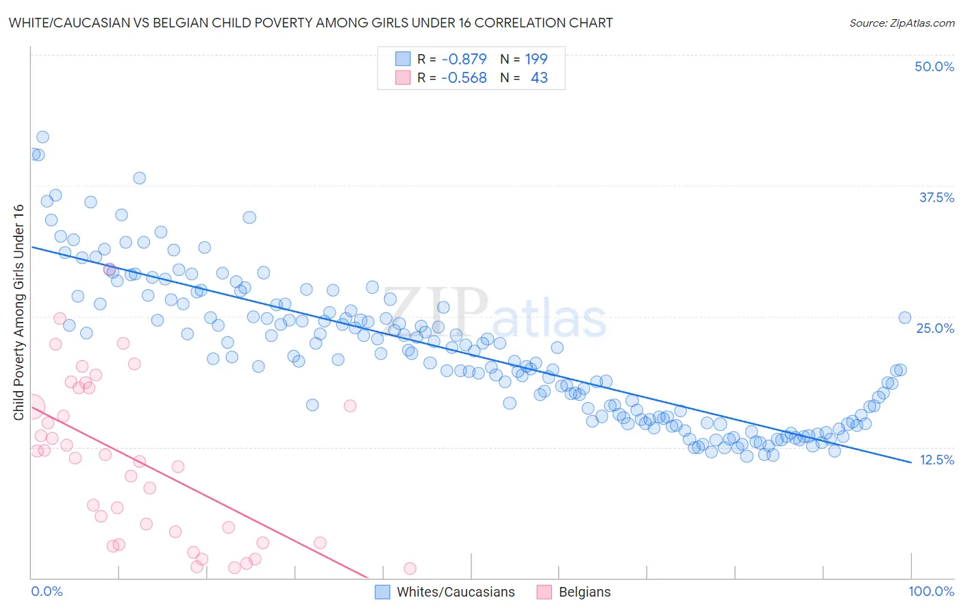 White/Caucasian vs Belgian Child Poverty Among Girls Under 16