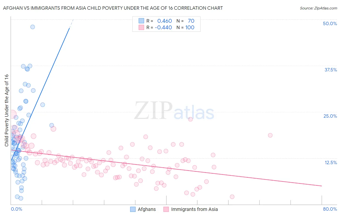 Afghan vs Immigrants from Asia Child Poverty Under the Age of 16