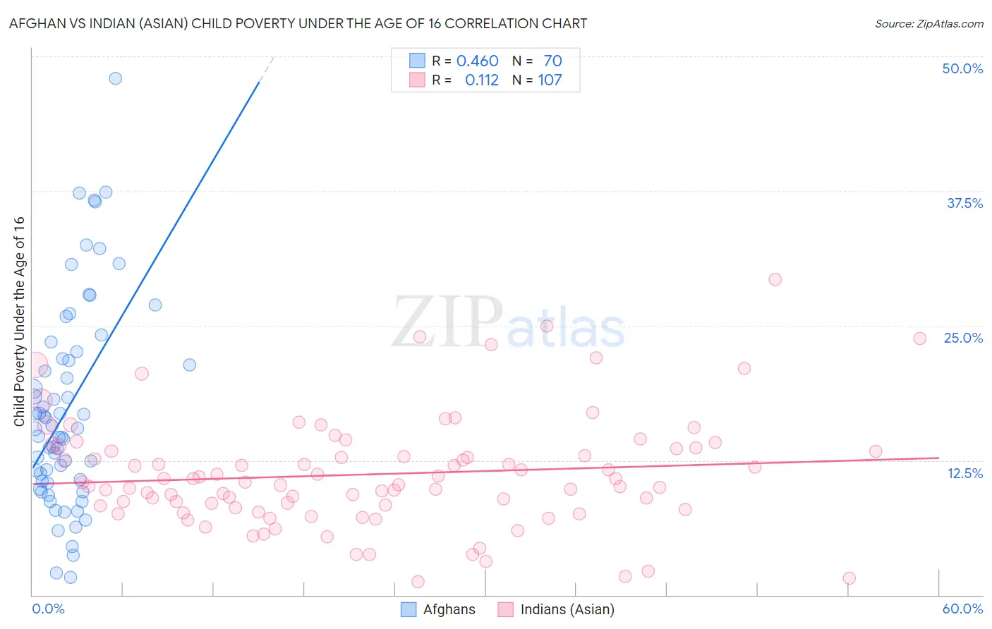 Afghan vs Indian (Asian) Child Poverty Under the Age of 16